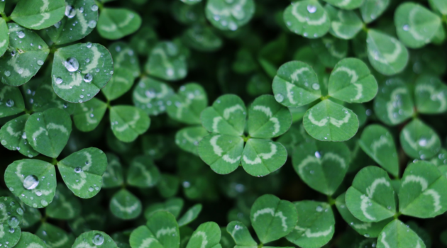best irish plays