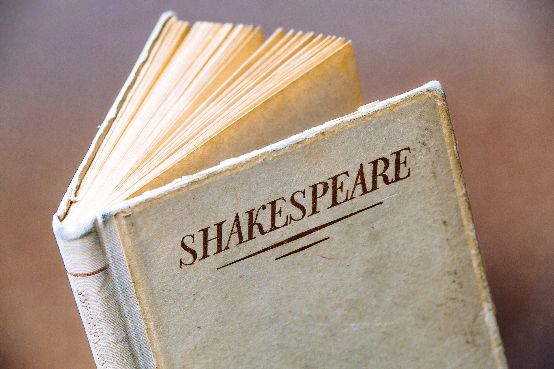 Common Shakespeare Phrases Worksheet