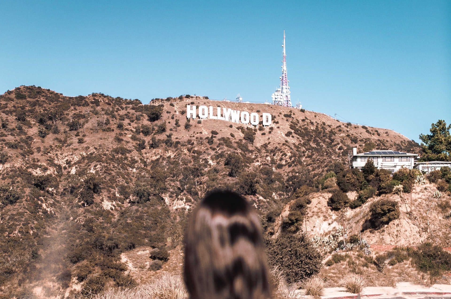 hollywood