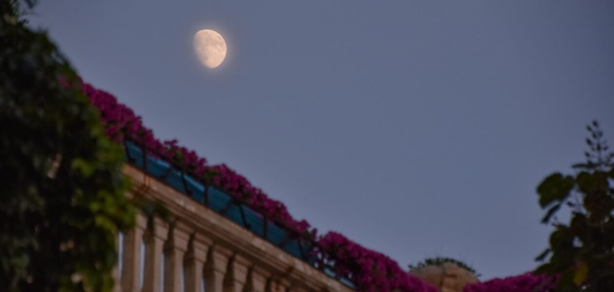 Juliet Monologue (Act 2, Scene 2) “O Romeo, Romeo, wherefore art thou